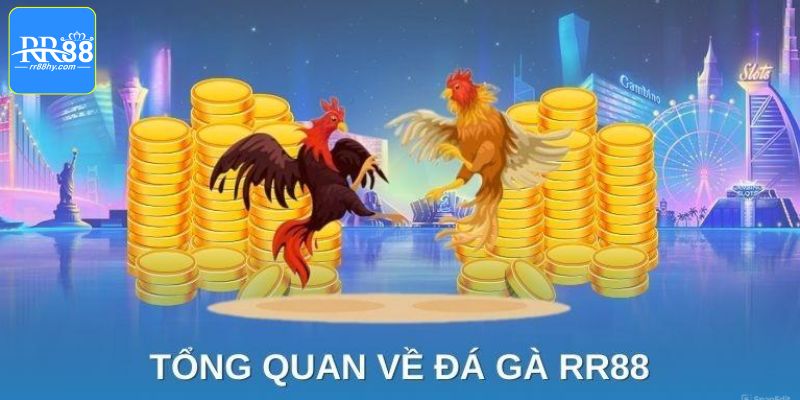 Sơ lược về bộ môn chọi gà tại RR88