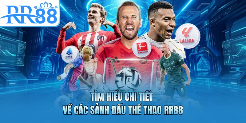 Tìm hiểu chi tiết về các sảnh đấu thể thao RR88